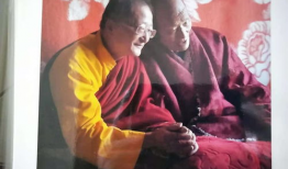 金刚经讲解视频全集,视频全集精华概述